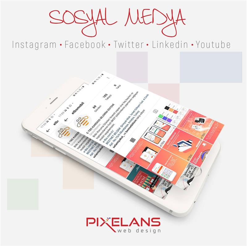 Pixelans Sosyal Medya Yönetimi