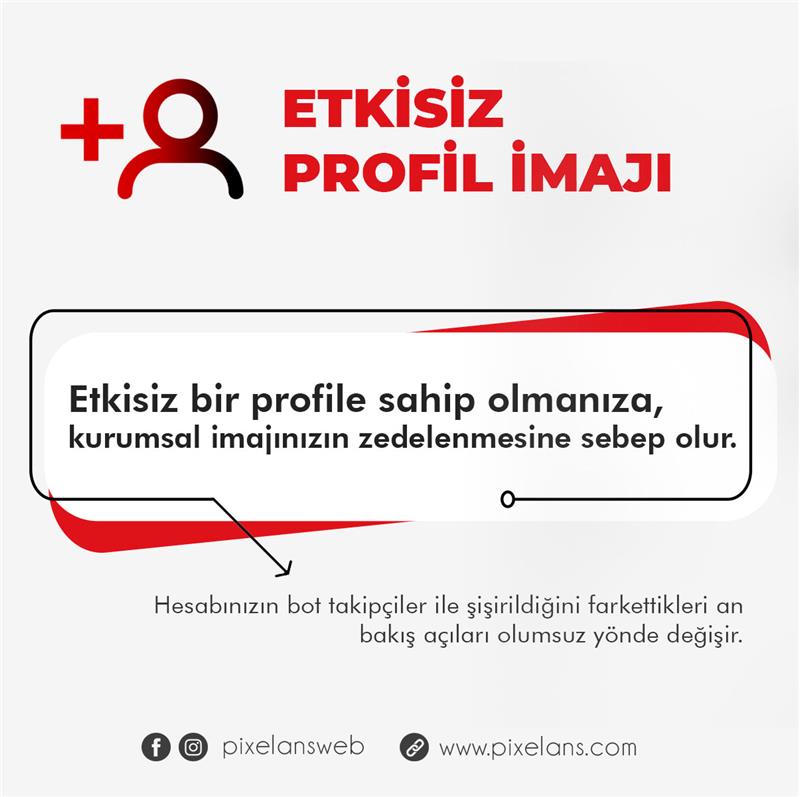 Pixelans Social Media Management