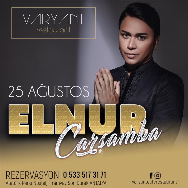 Variant Restaurant Social Media Management