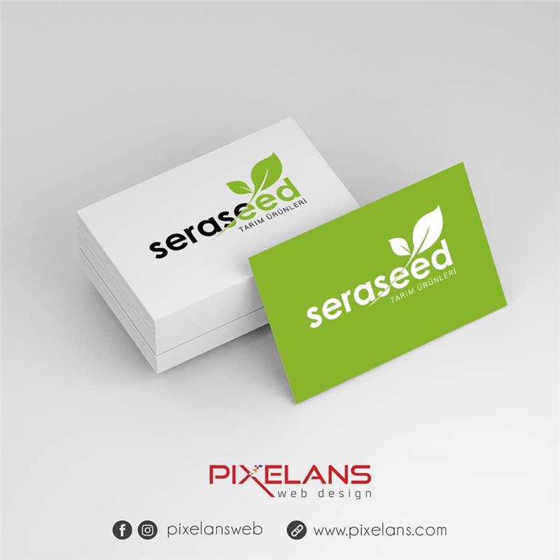 Logo Design