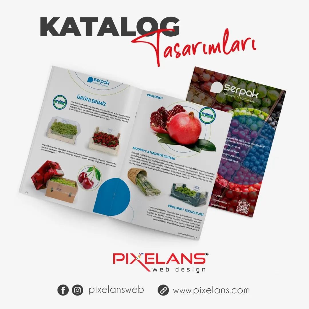 Katalog Tasarımı