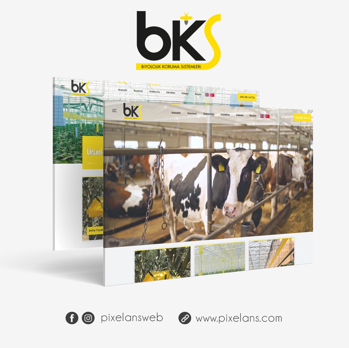 BKS Plant Protection