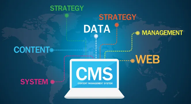 CMS Nedir? Nasıl Kullanılır?