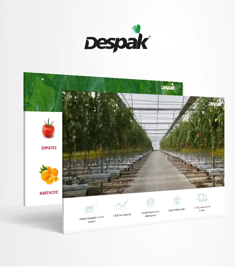 /Upload/Dosya/2025/5/8/despak.webp